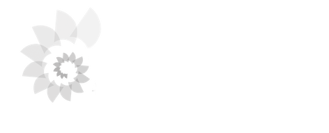 Wholebeing Institute Brasil
